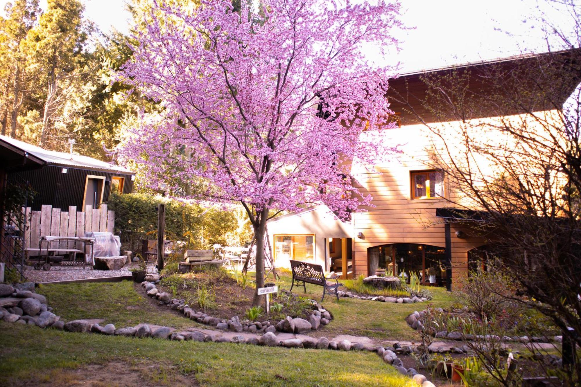 Le Bouquet Apart Hotel San Carlos de Bariloche Extérieur photo